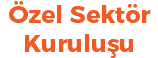 Özel Sektör Kuruluşu
